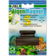 Algae Magnet